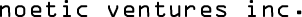 noetic ventures inc.